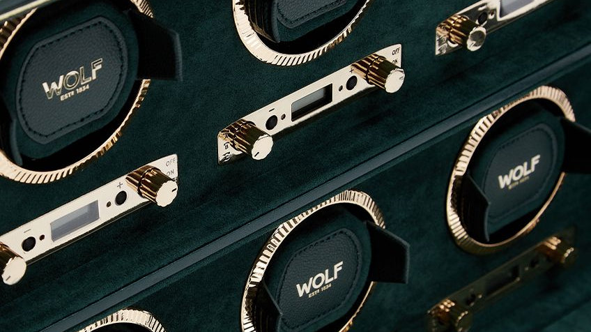 The Ultimate Guide To WOLF Watch Winders
