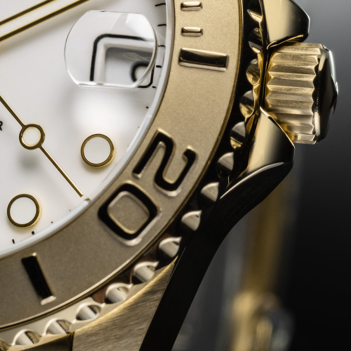 Davosa Ternos Medium Automatic Watch 16619802 Image 3