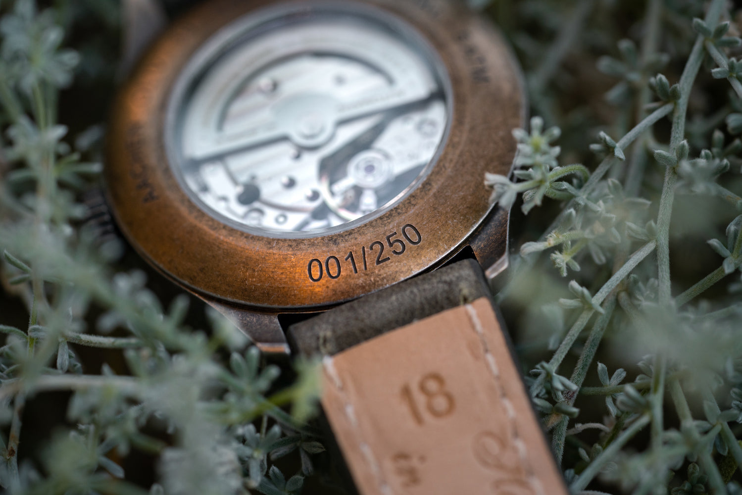 Laco Watch Aachen Olive 39 Limited Edition 862136 Image 4