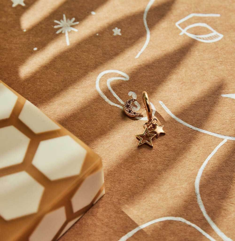 ChloBo Sterling Silver Gold Plated Starry Moon Stud Earrings CBO-094 Image 2