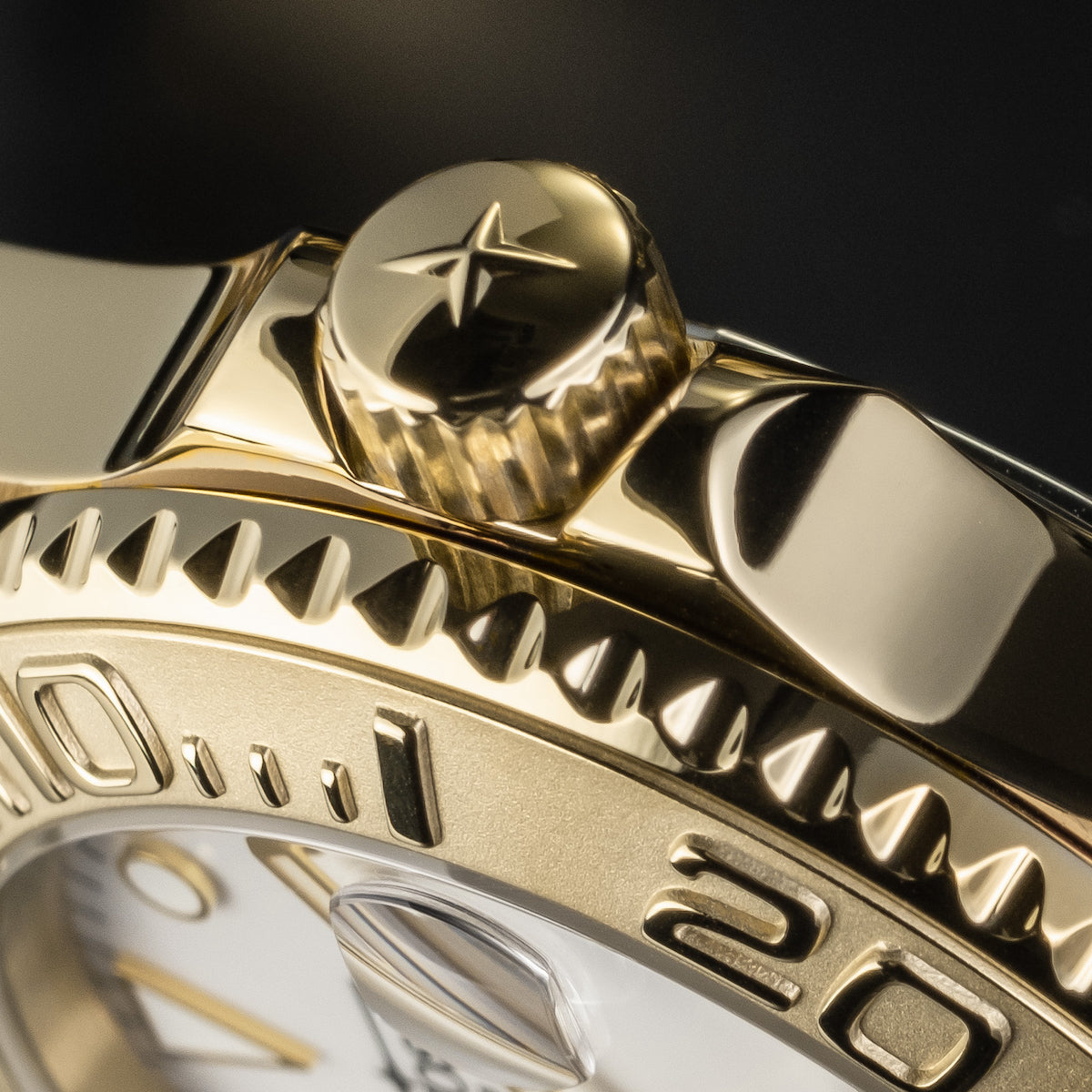 Davosa Ternos Medium Automatic Watch 16619802 Image 4