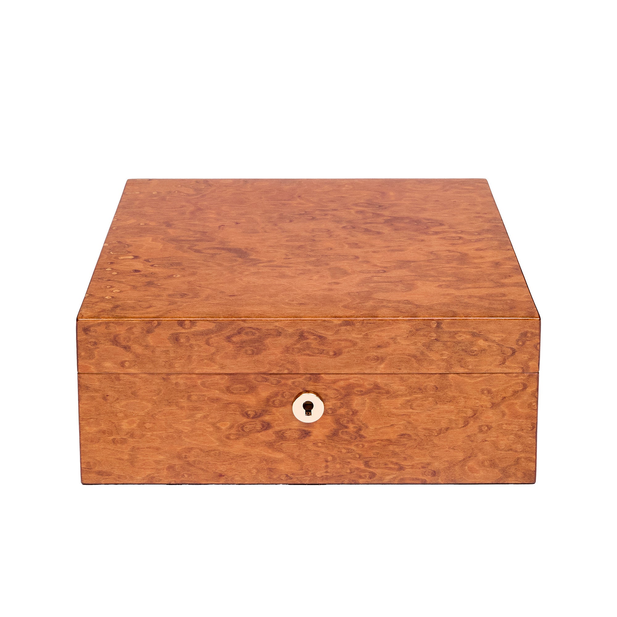 Rapport Brompton Burr Walnut  Medium Humidor RPT-195 Image 6