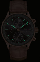Sinn Watch Frankfurt Financial District 6012 Rose Gold Anniversary Limited Edition 6012.021 Alligator Black Image 3